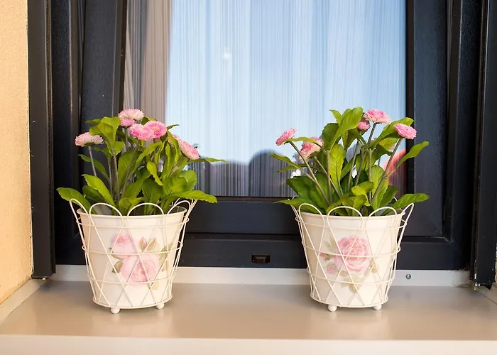 Park Lux Arandelovac